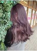 ピンクラベンダー