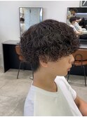 波巻きプードルパーママッシュウルフ