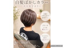 スタジオ キュー(studio q)