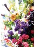 <人気No1>カット+オーガニックカラー+4stepTR￥14800 (ホ-ムケアTR付き)