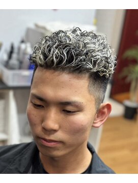 ピシャッとニ代目銀二郎 ギンパラカーリーホワイト