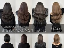 ビセ(VISE)