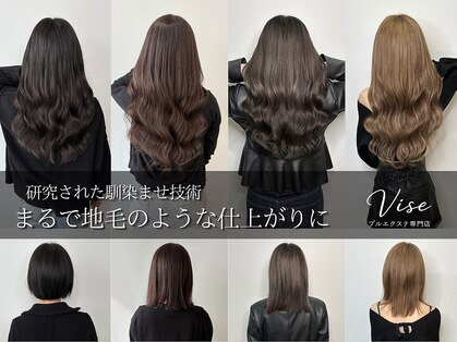 ビセ(VISE)の写真