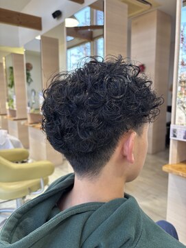 スペインカール