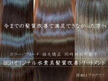 ヘアーズビシュ Hair's BISHの雰囲気（髪質改善で予防美髪！ハリコシ、艶感サラサラ、しっとり！）
