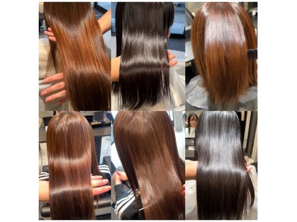 オクト(Octo)の写真