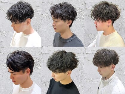 ディフィー(Defi)の写真