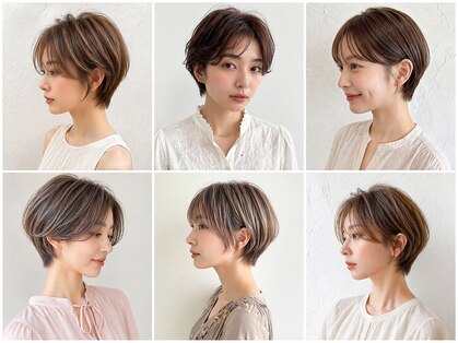 ヨール(YOL)の写真