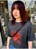 赤ウルフ