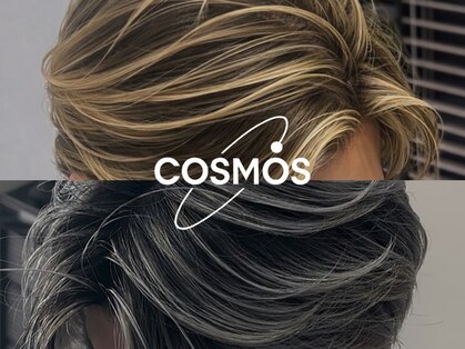 コスモス 町田(COSMOS)の写真