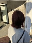 春先取りピンク