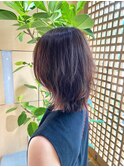 ミディアムレイヤー