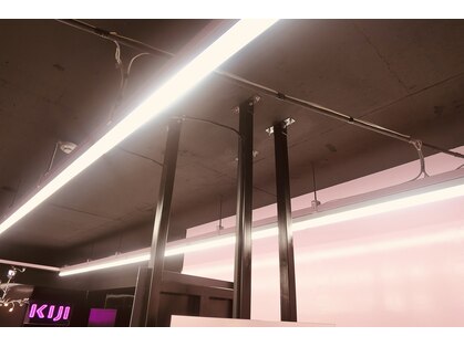 キジ(KIJI)の写真