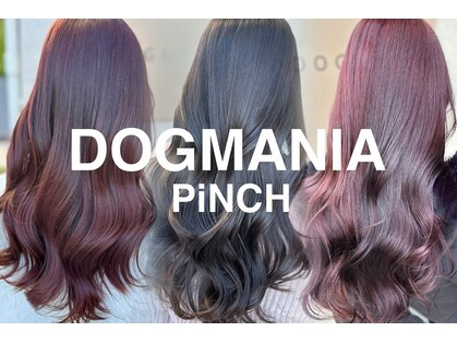 ドッグマニアピンチアオヤマ(DOGMANIA PiNCH AOYAMA)の写真