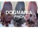 ドッグマニアピンチアオヤマ(DOGMANIA PiNCH AOYAMA)の写真