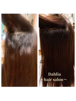 ダリア(Dahlia)&nbsp;リッジ感強めの癖毛さんです