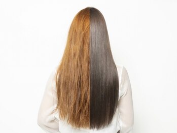 エルビー ロトスブルーメ(LB Lotos Blume)の写真/大人女性の頭皮のお悩みや髪のパサつき、うねり、質感などの悩みに寄り添うサロン【エアンスご用意あり】