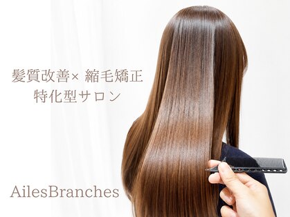 エル ブランシェ(Ailes Branches)の写真