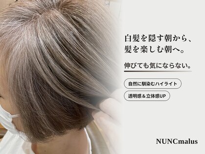 ヌンクマールス(NUNC malus)の写真
