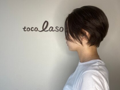 トコラソ(tocolaso)の写真