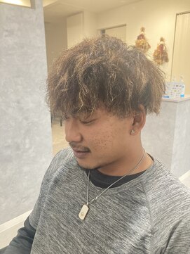 ガーベラ(gerbera) ツイストスパイラル×メッシュ