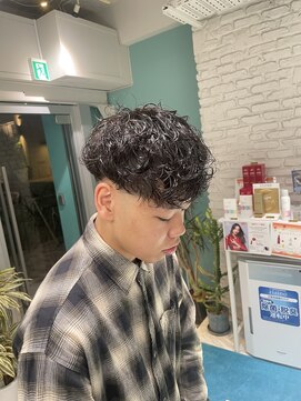 リーホリエ(Lee Horie) 【sakura】スペインカール