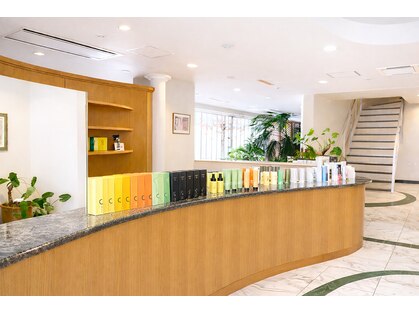 アサクラ シンキタ(ASAKURA SHINKITA)の写真