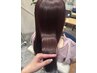 【本坂指名限定】カット + 髪質改善りんご幹細胞トリートメント