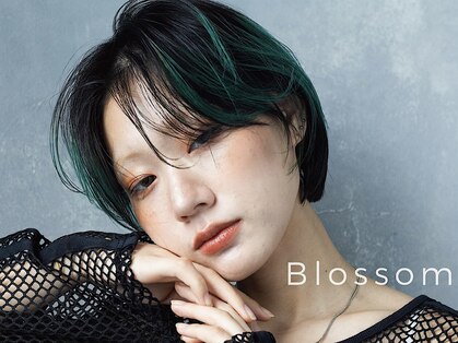 ブロッサム 成増店(Blossom)の写真