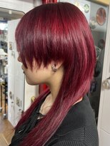 アドネス(ADNESS)&nbsp;暗染からできる派手髪