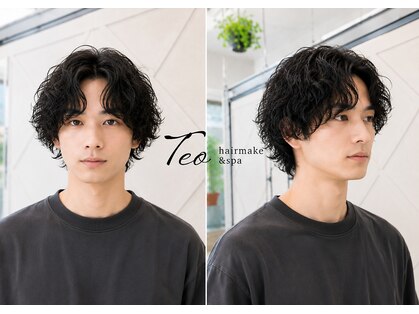 テオ(Teo)の写真