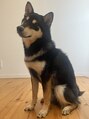エルビーエル(LBL) 愛犬です☆愛犬トーク大好きです!