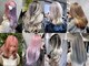 ミミー(mimiiy)の写真/【梅田/中崎/茶屋町】ダメージレスなハイトーンカラーが叶うサロン◎パーソナルカラーもお任せください◇