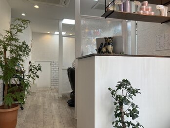 ちゅら髪の写真/全てのお席が仕切られた空間なので安心してお過ごし頂けます。ちゅら髪にはアシスタントはいません！