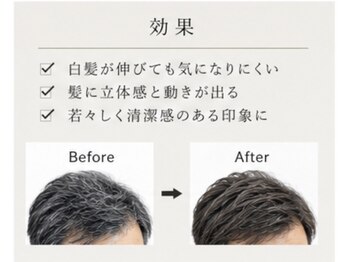 Daylu MEN【デイルメン】【6月9日 NEW OPEN（予定）】の写真/白髪は隠さず「活かす」時代へ。白髪ぼかしハイライトで、－5歳の清潔感と立体的な男の束感を。