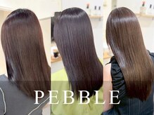ペブル(PEBBLE)