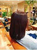 3月春色さくらピンク
