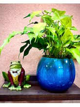 美容室ティービーケー 清瀬店(TBK)&nbsp;田嶋 