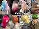 ディーカヘアーセンダイ(Di KA HAIR sendai)の写真