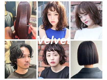 ベルベット(Velvet)の写真