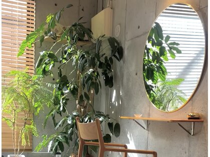 ウチコ(u.chi.ko_si)の写真