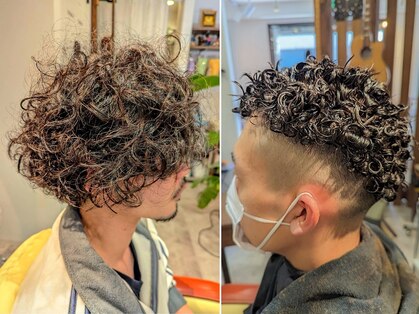 ヴィシュヌヘアー Visnu Hairの写真