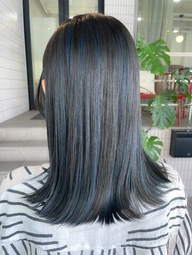 シェル(SHEL+L) Bluege highlight 【滝野】