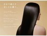 【6月限定】カット+美髪縮毛矯正+TOKIO・TR/18280→15980