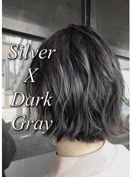 アイリス(IRIS) ダークシルバー