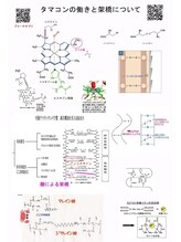 【髪質改善が圧倒的に綺麗になる理由とは？！】トリートメント効果って、そんなにお店ごとに違うものなの？