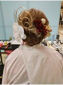 シニヨン