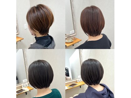 マロ(Maro)の写真