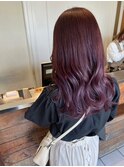 ピンクラベンダー