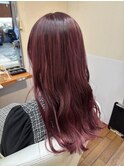 ピンクラベンダー